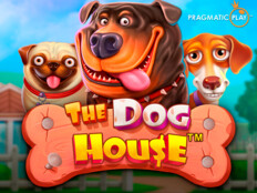 The dog house casino38